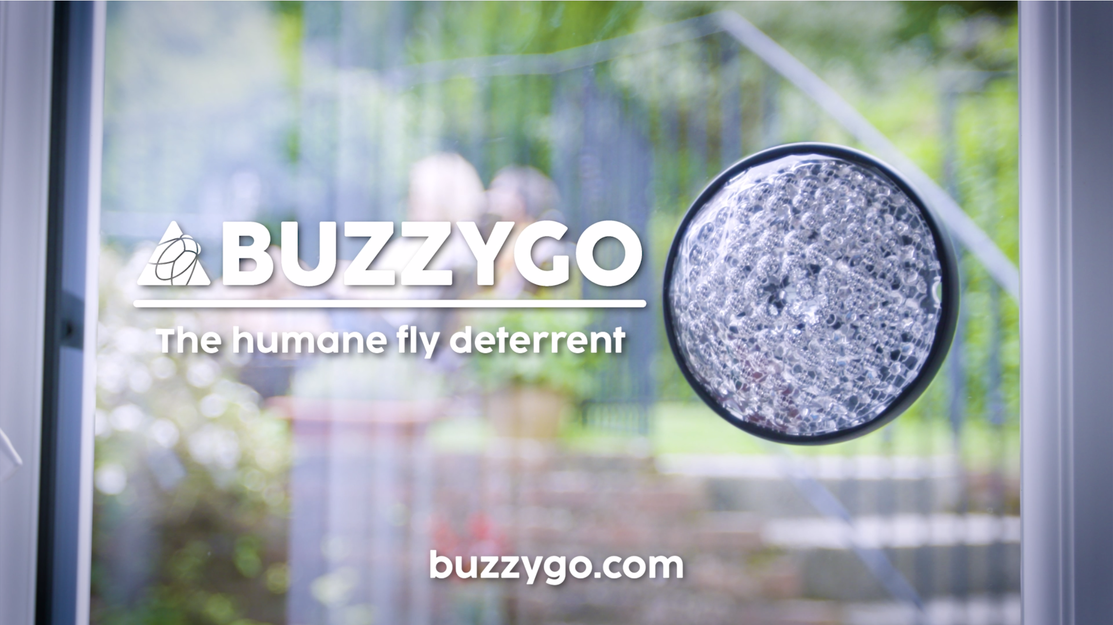 Load video: buzzygo